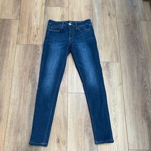 Vervet Ankle Skinny Jeans size 25